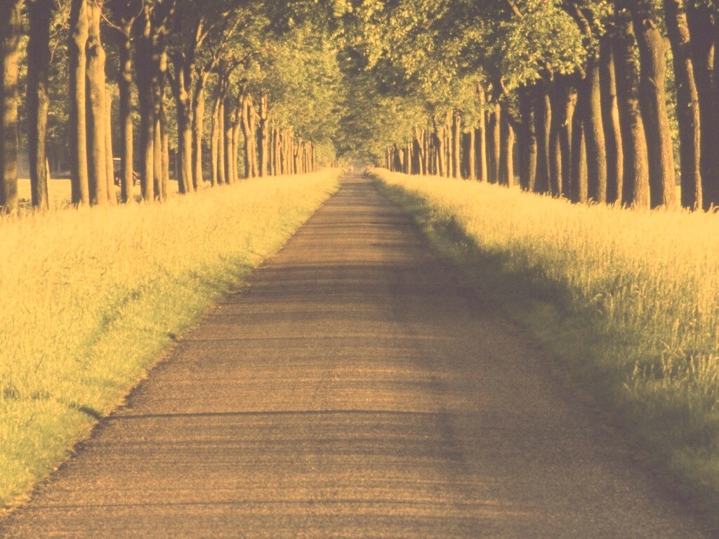 Живописная аллея обои