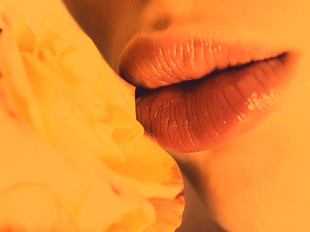 Губы девушки и роза обои