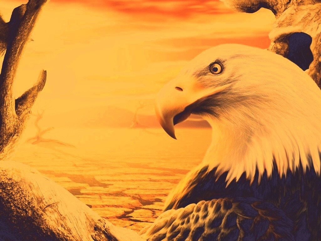 Нарисованный орел обои