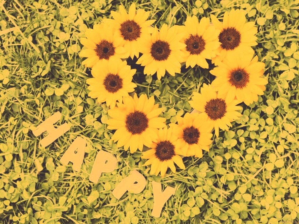 Радость обои