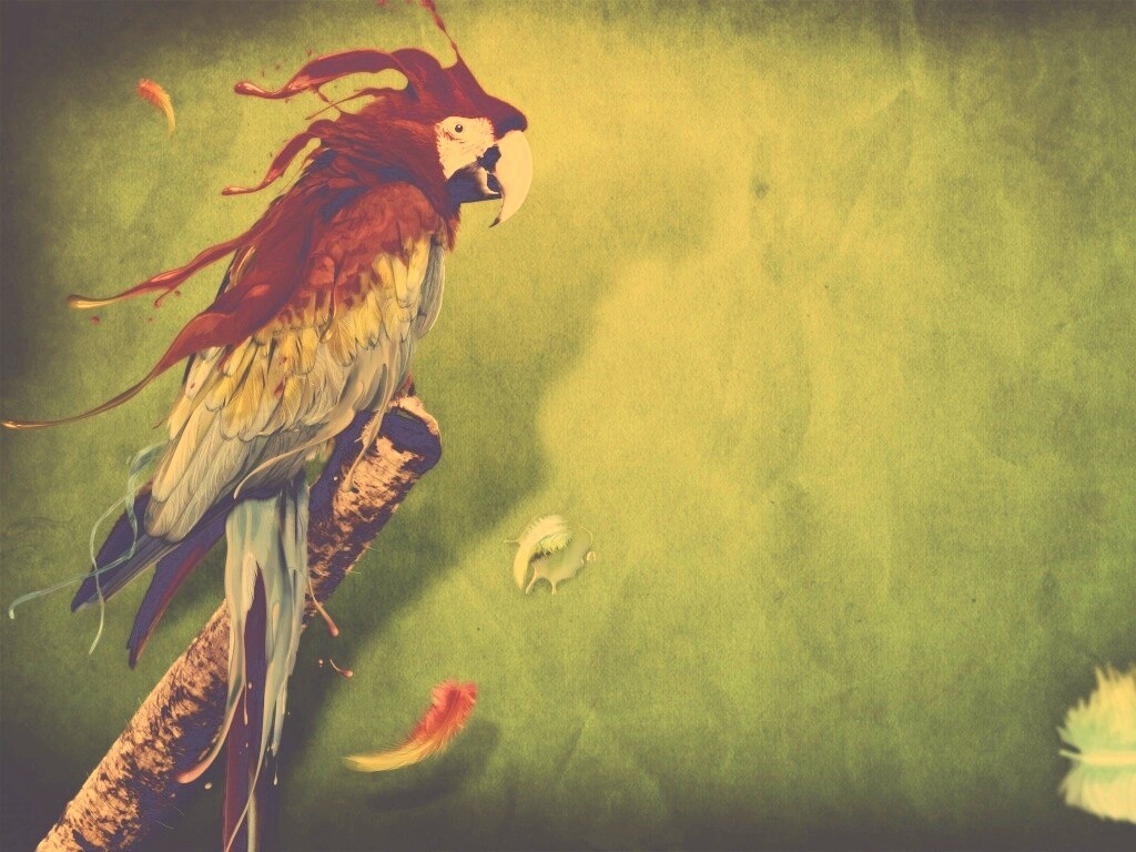 Попугай на ветке обои