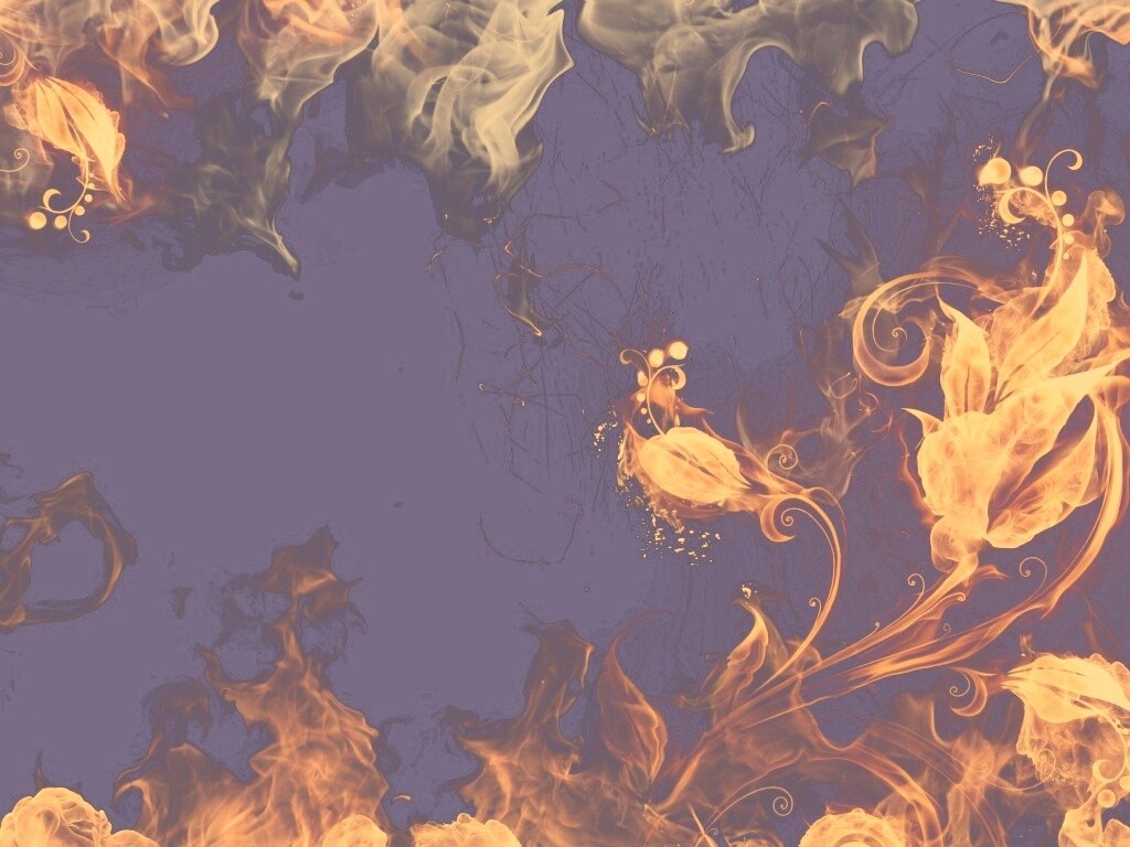 Огненные цветы обои