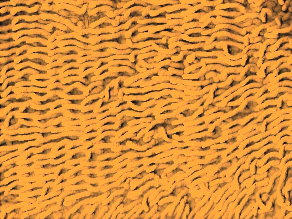 Ковер вблизи обои