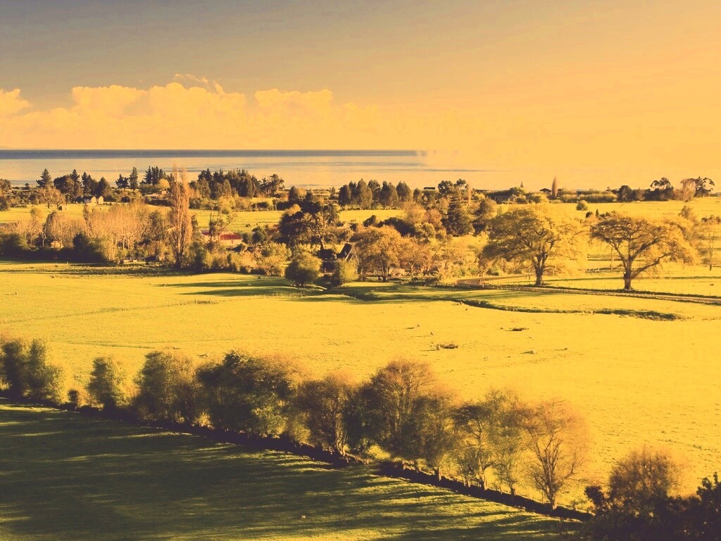 Сельская природа обои