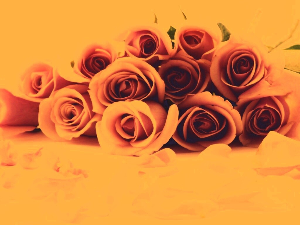 Букет роз обои