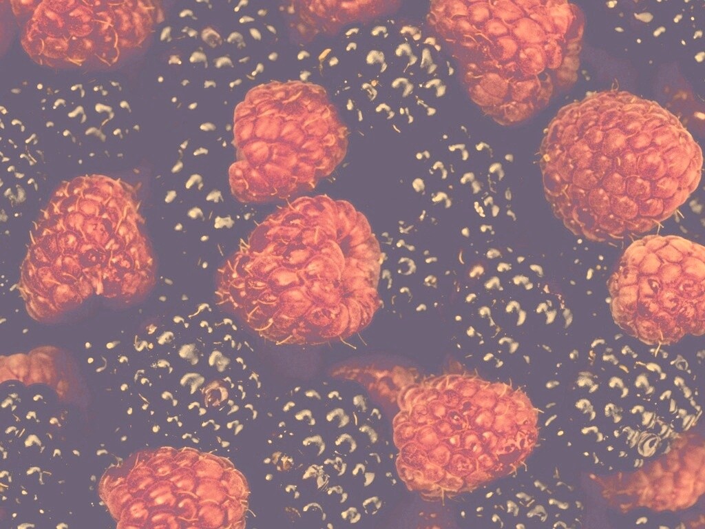 Малина и ежевика обои