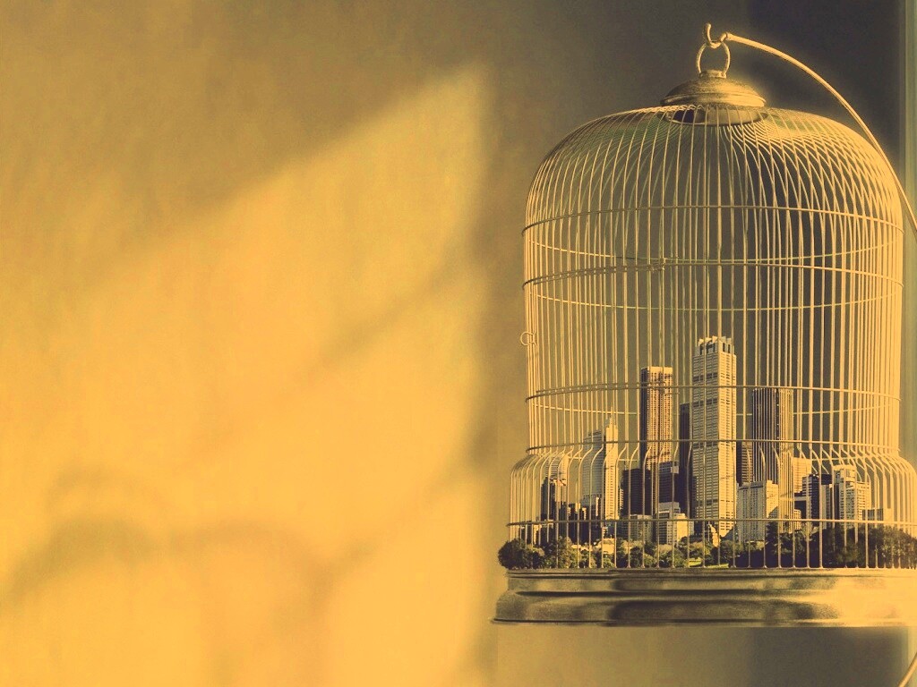 Город в клетке обои