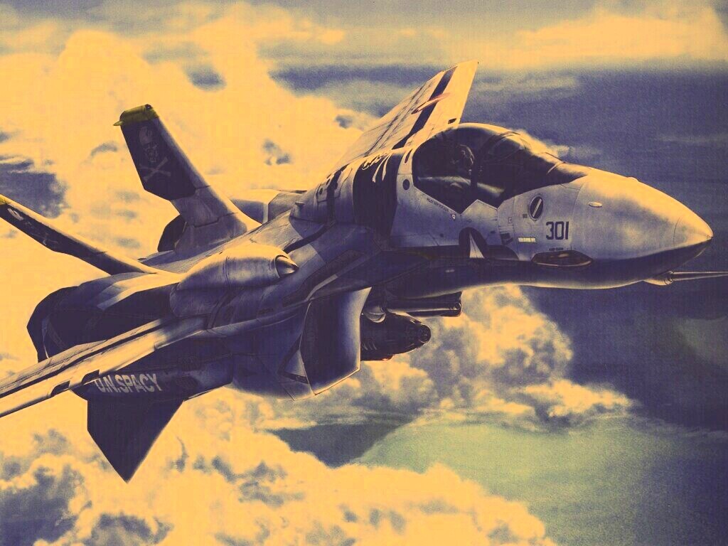 UN Spacy Fighter обои