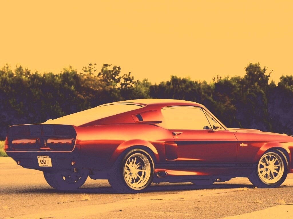 Shelby GT500 CR обои
