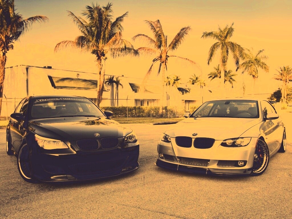 Две БМВ обои