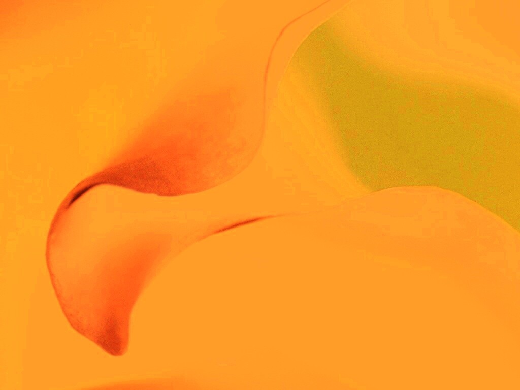 Оттенки природы обои