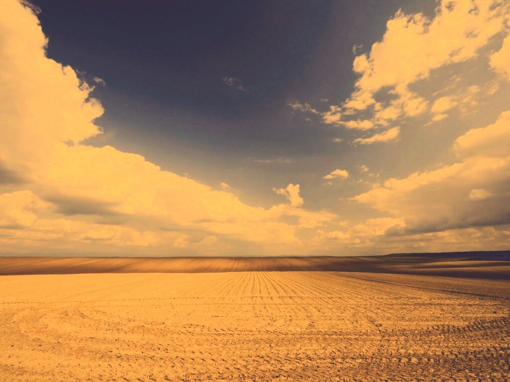 Незасеянное поле обои