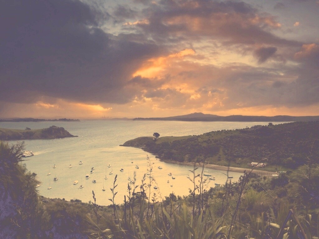 Waiheke Island, New Zealand обои