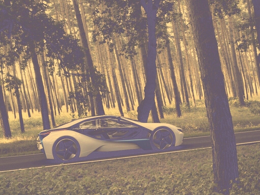 Спорткар BMW на лесной дороге обои