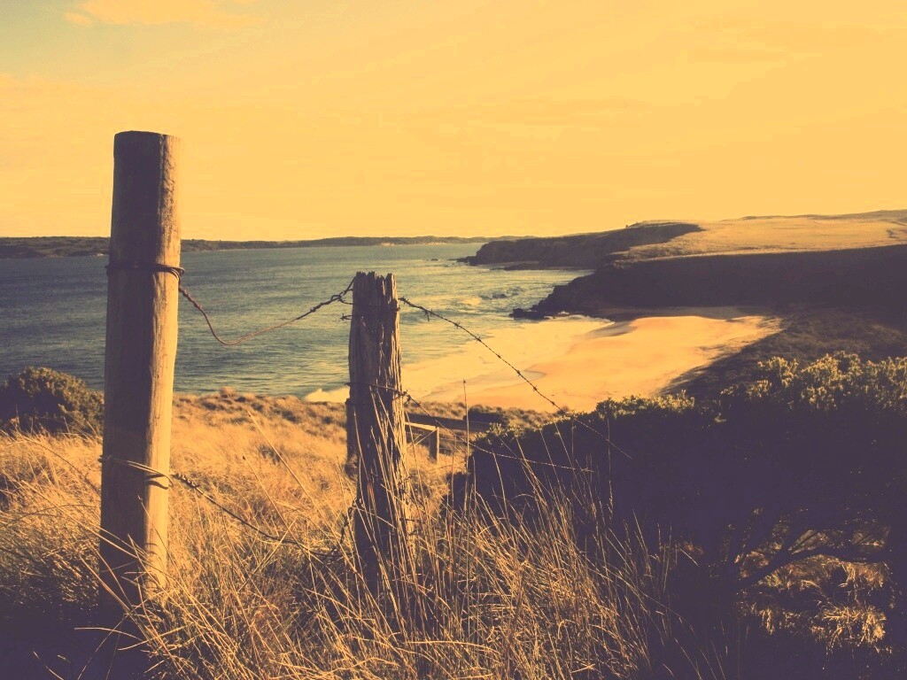 Пляж на озере обои