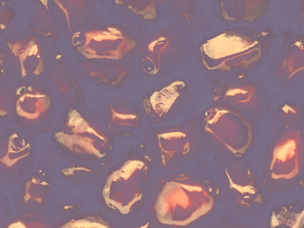 Ядра граната обои