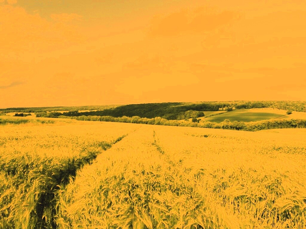 Бескрайние просторы обои