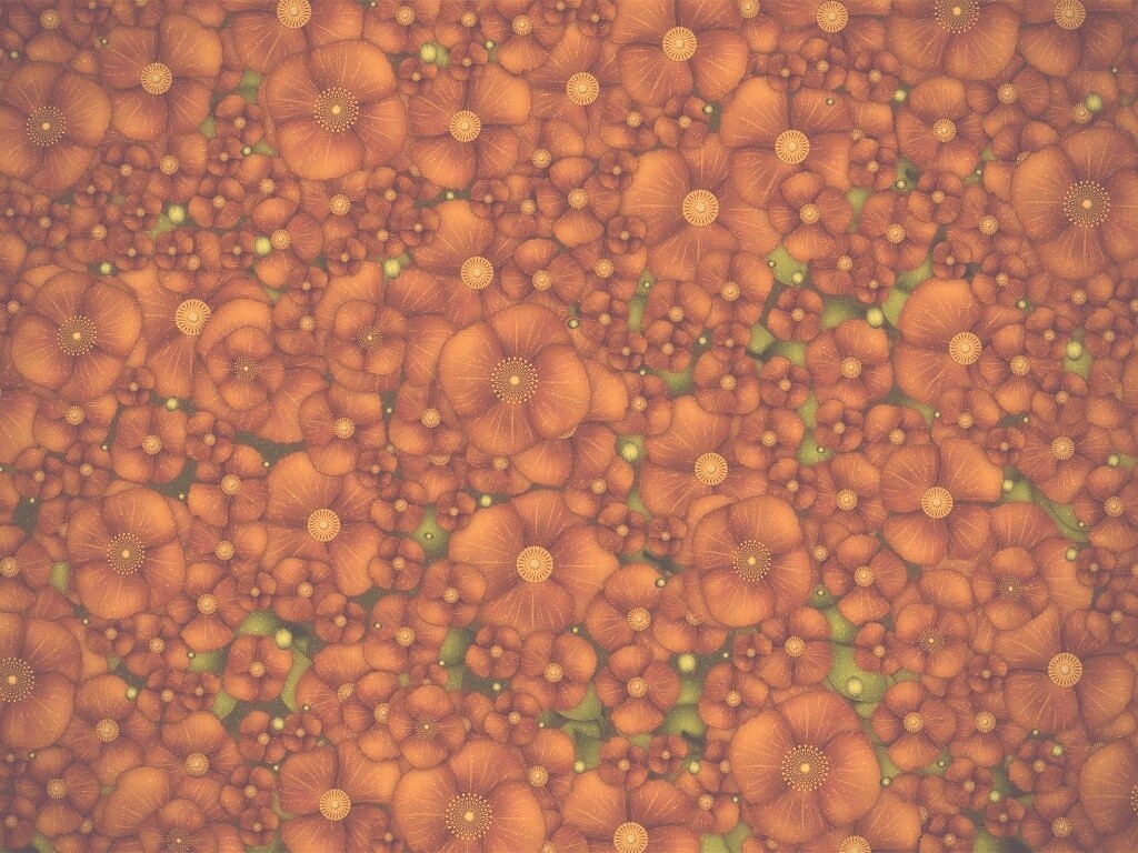 Рисунко с красными цветами обои