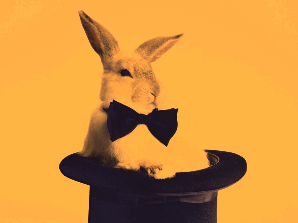 Кролик в цилиндре фокусника обои