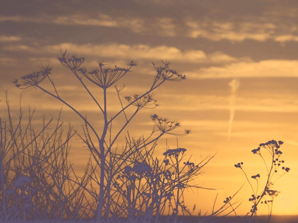 Степной закат обои