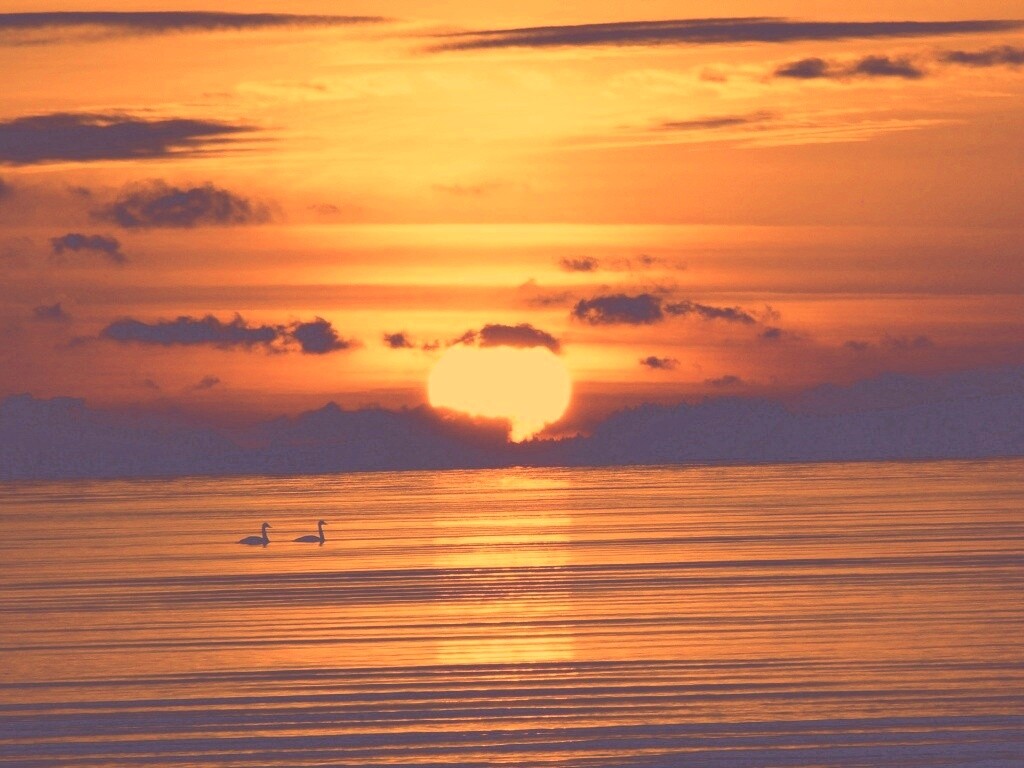 Великолепный рассвет обои