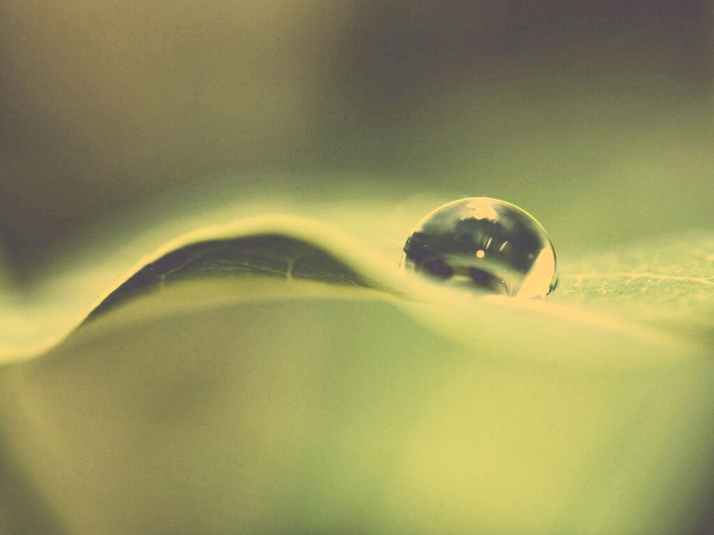 Фотография капли воды в макро обои