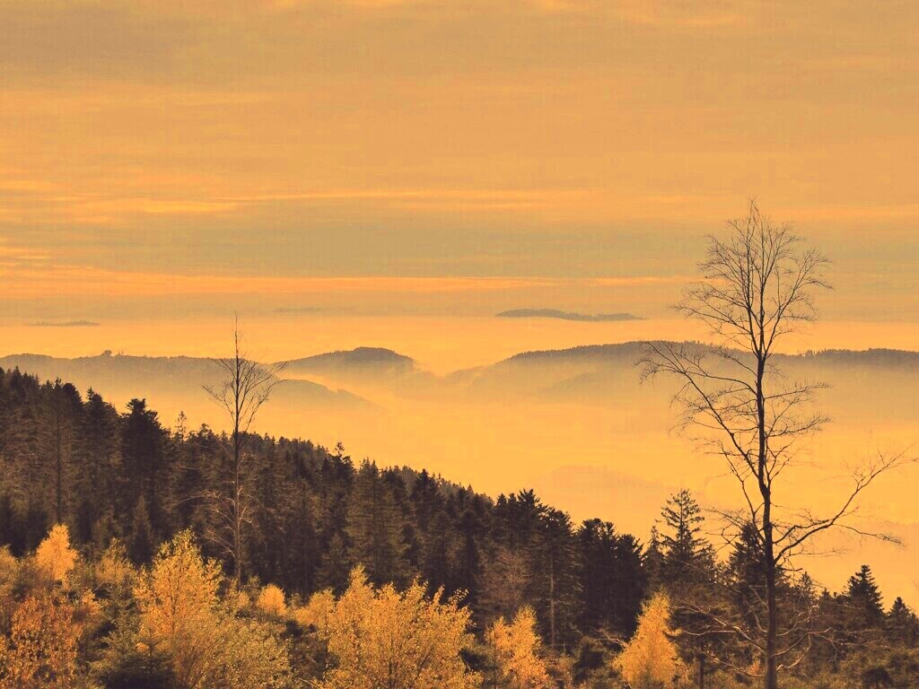 Холмы в тумане обои