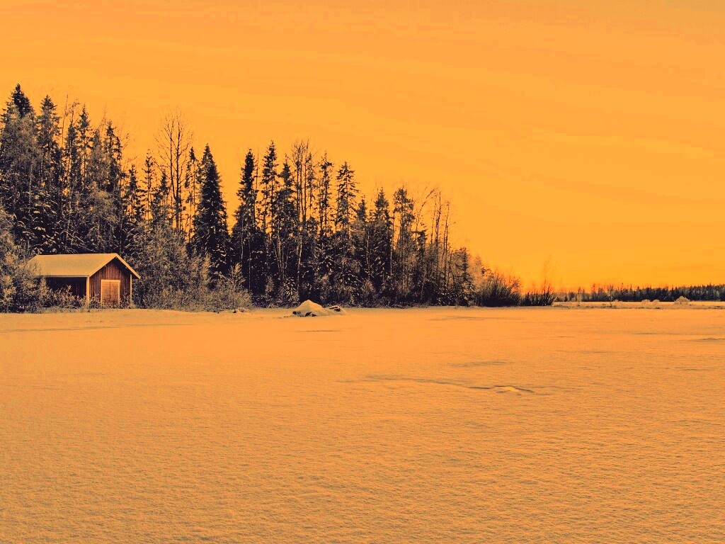 Зимний закат обои