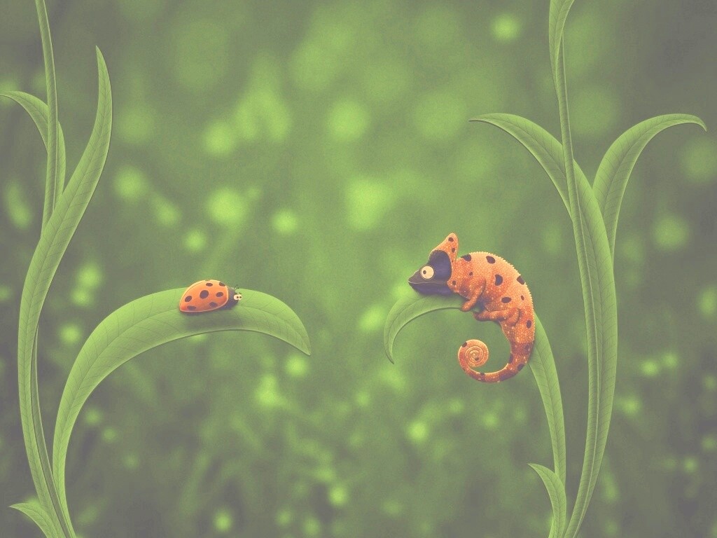 Хамелеон  замаскированный под божью коровку обои