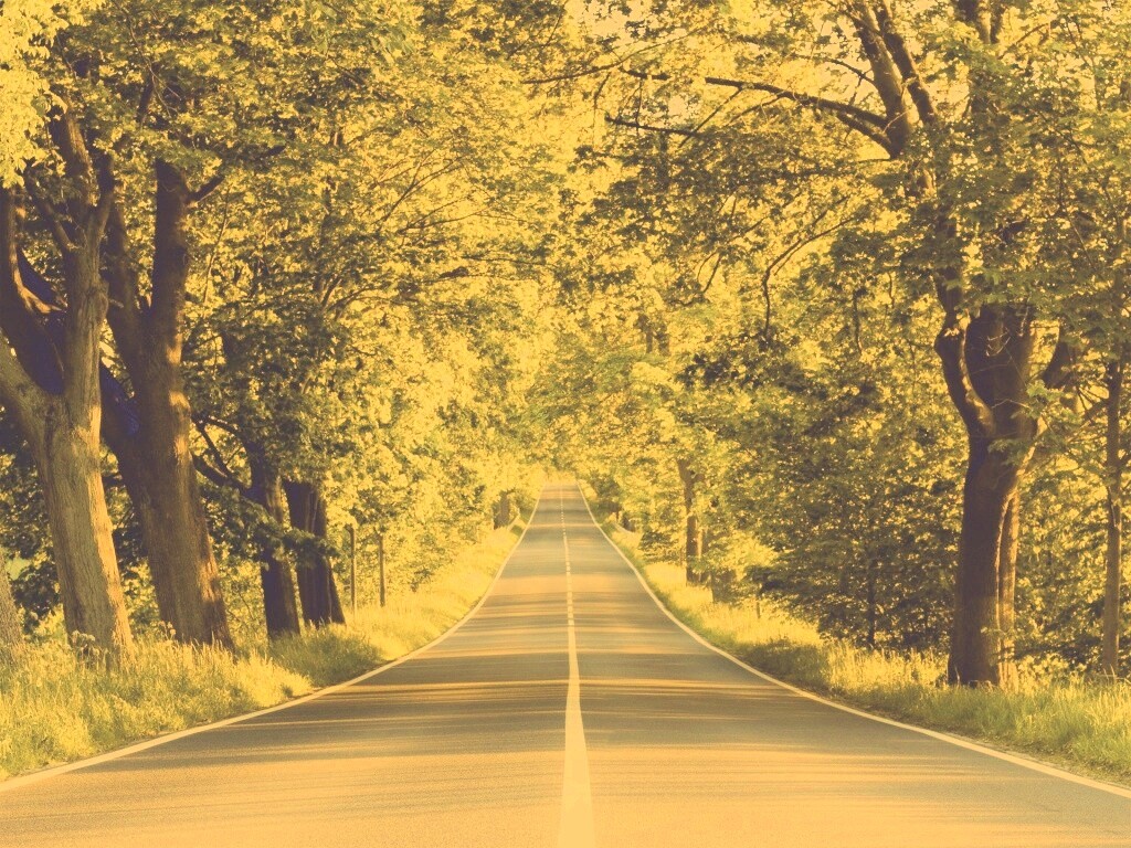 Под горку и в лес обои