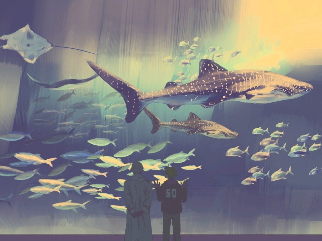 Двое в океанариуме обои