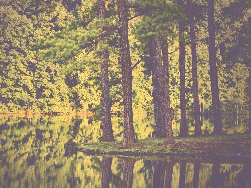 Островок посреди озера обои