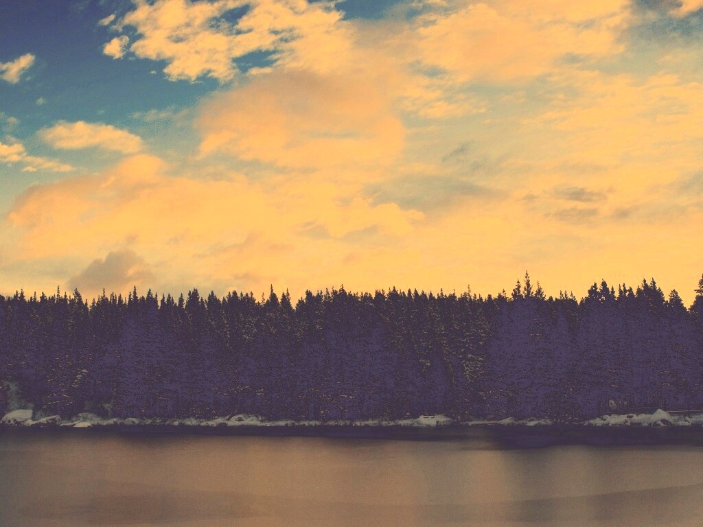 Лес на озере обои