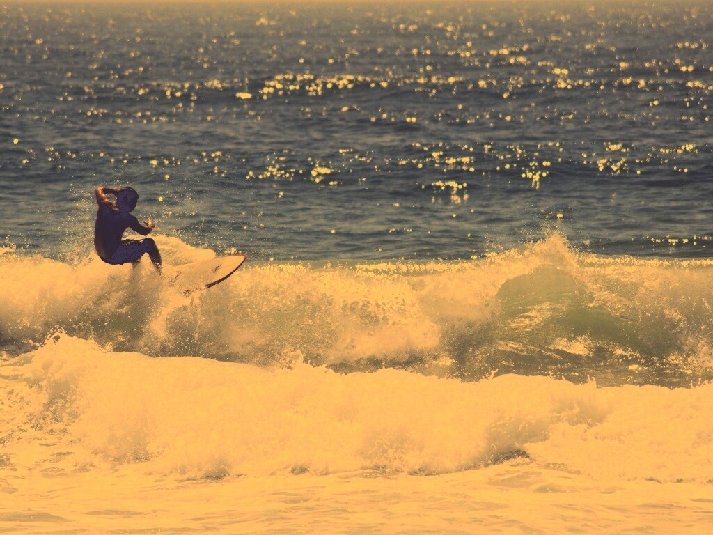 Сёрфенгист поймал волну обои
