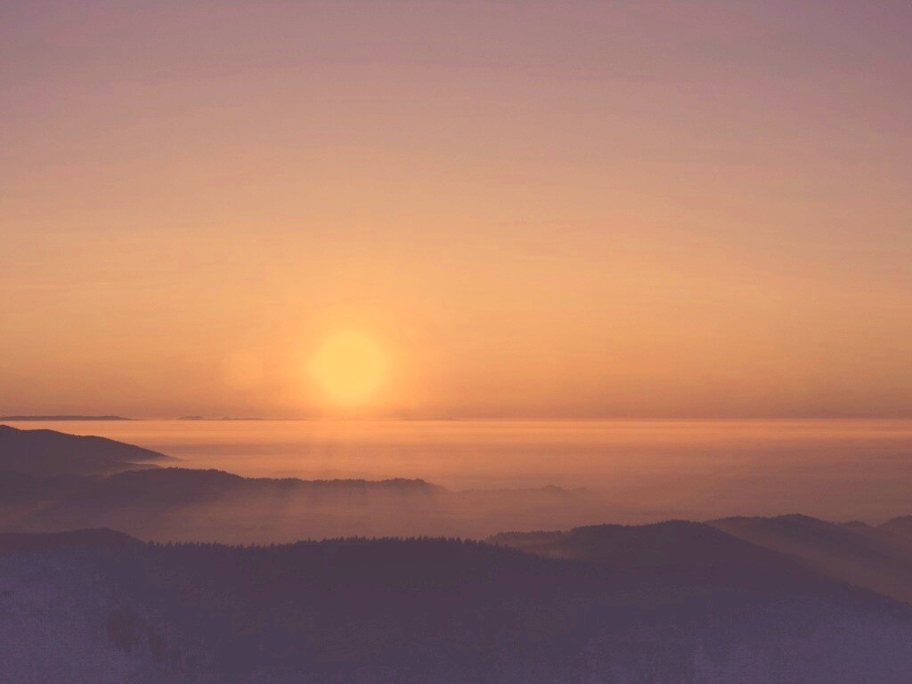 Восход солнца над лесом обои