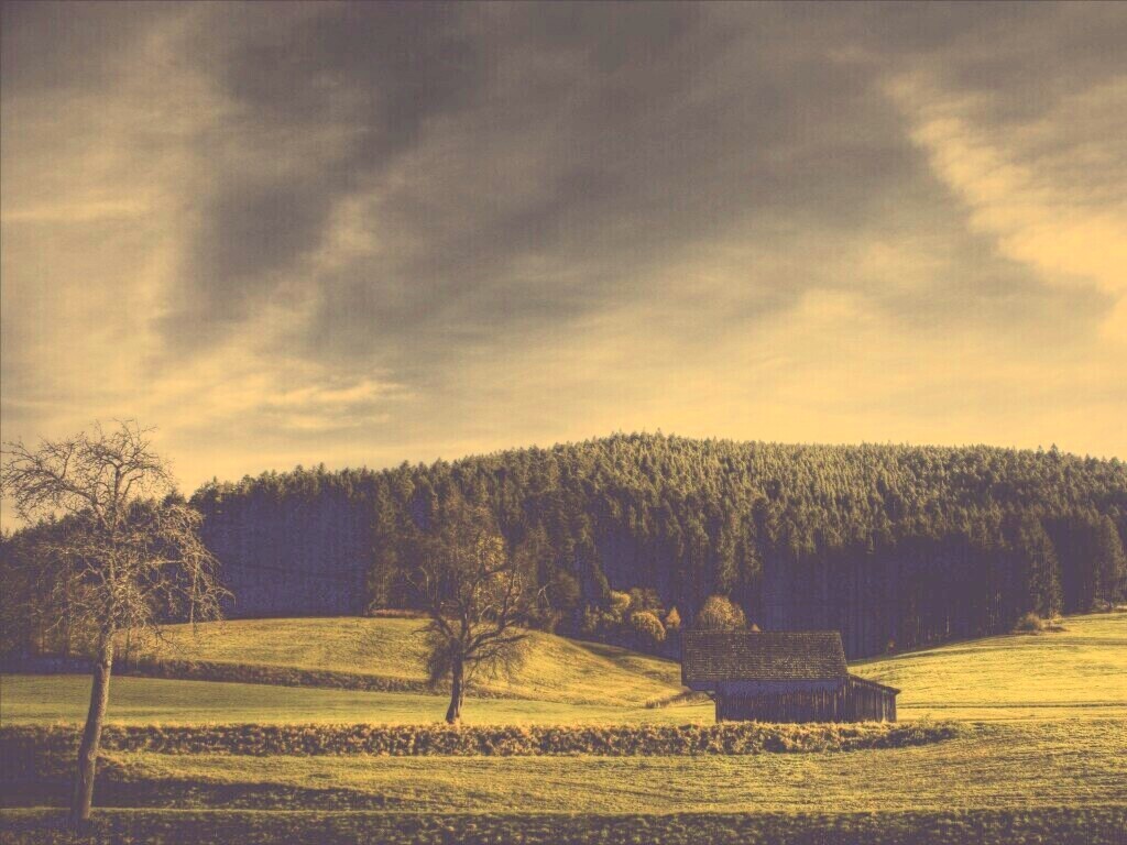 Домик в поле обои