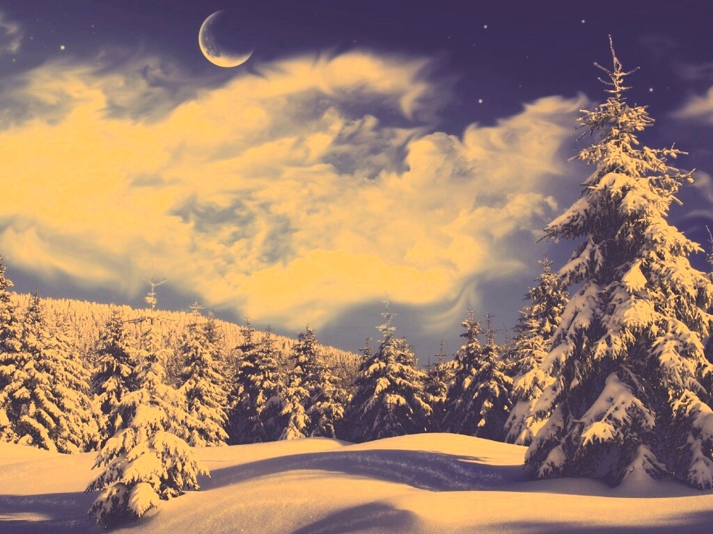 Зимний еловый лес обои