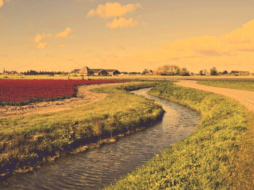 Канал вдоль дороги обои