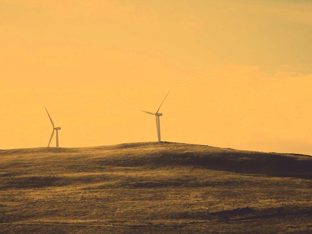 Ветряки в поле обои