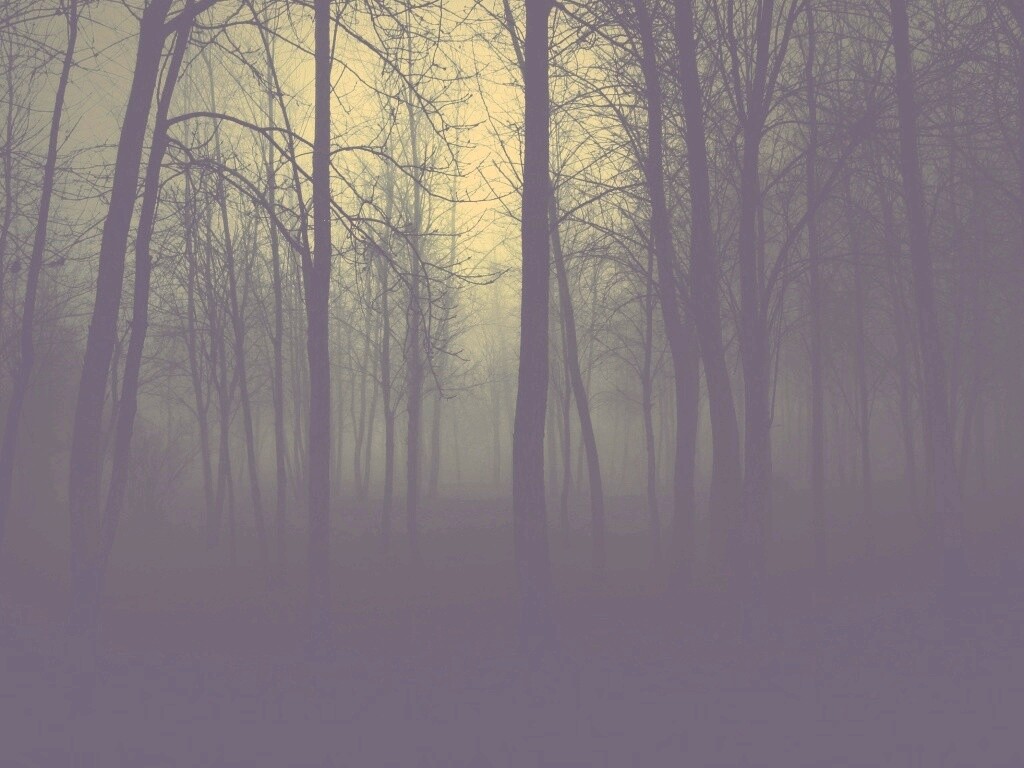 Страшный туманный лес обои