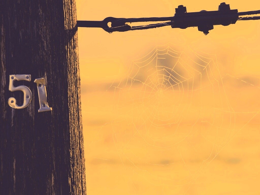 Паутина 51 обои