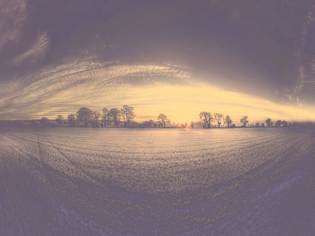 Поле широкоугольным объективом обои