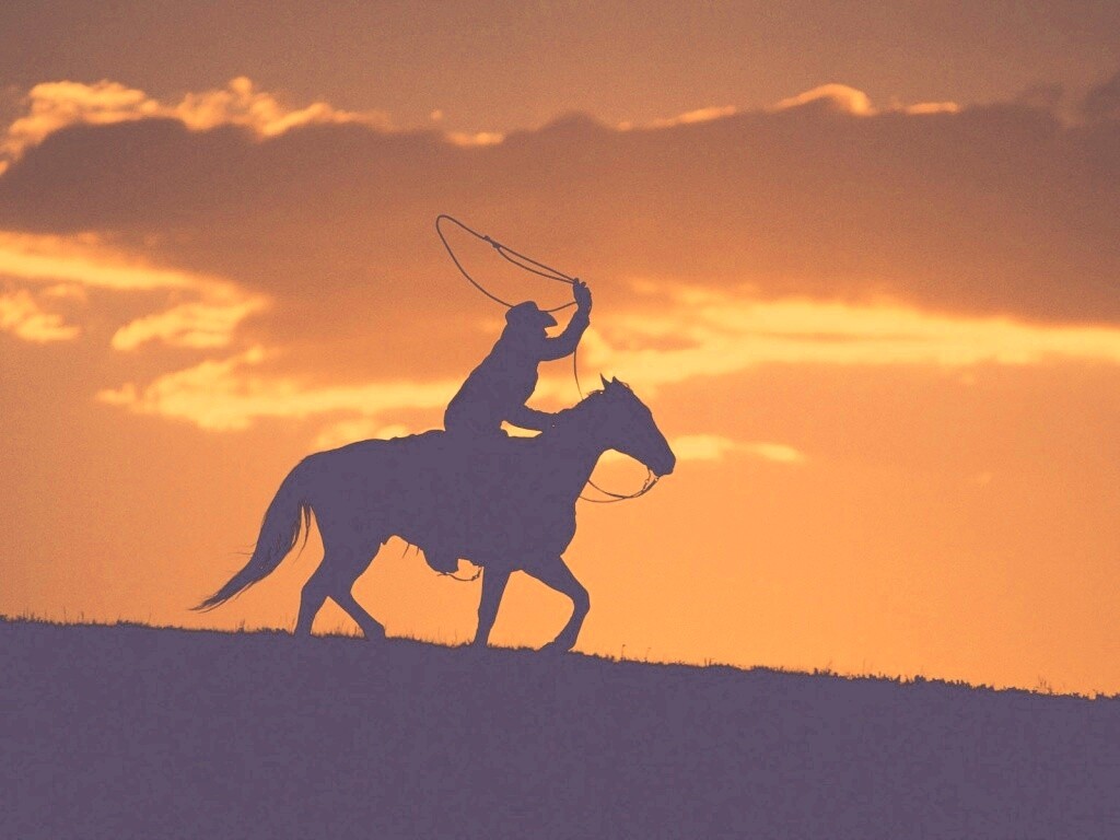 Силуэт ковбоя на закате обои