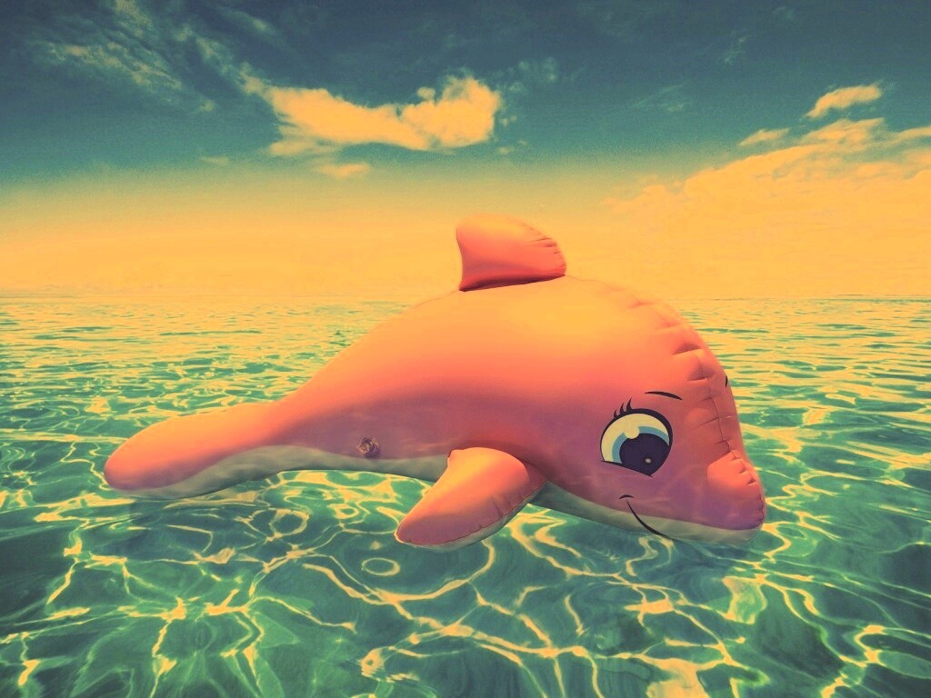 Надувной розовый дельфин обои