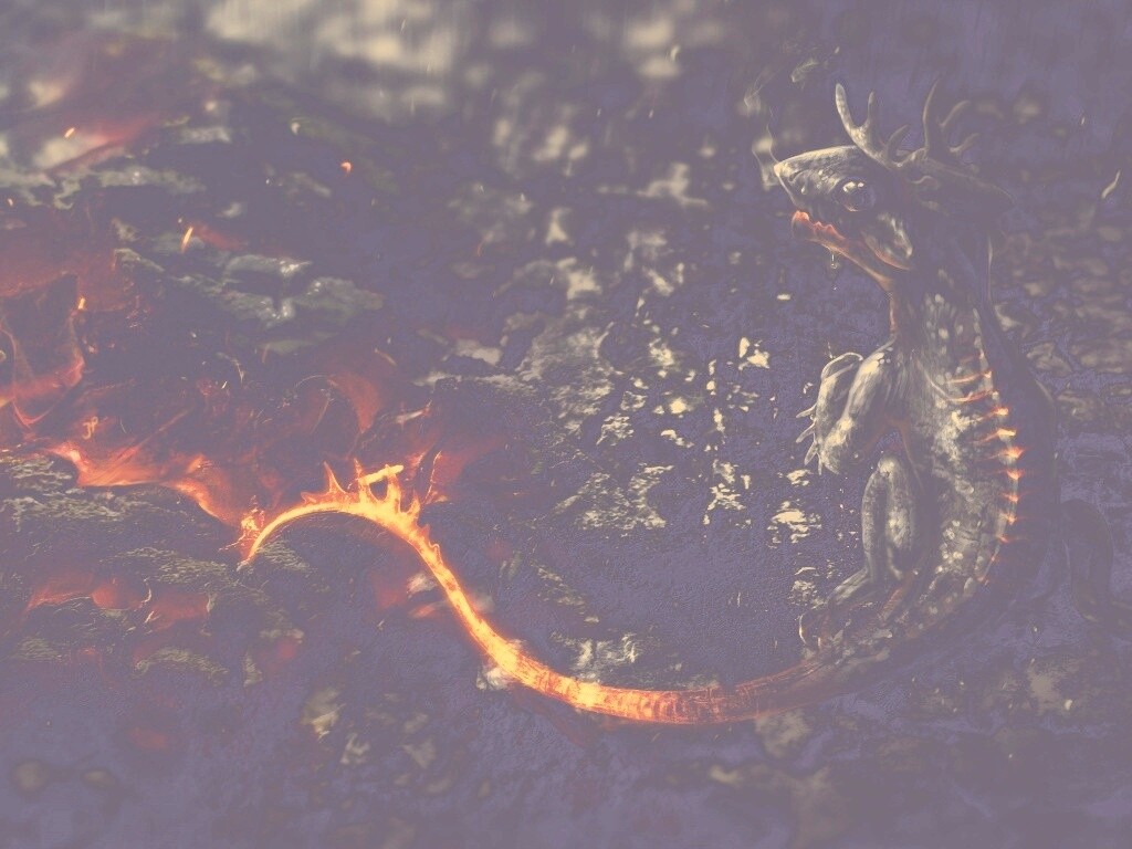 Огненный дракончик обои