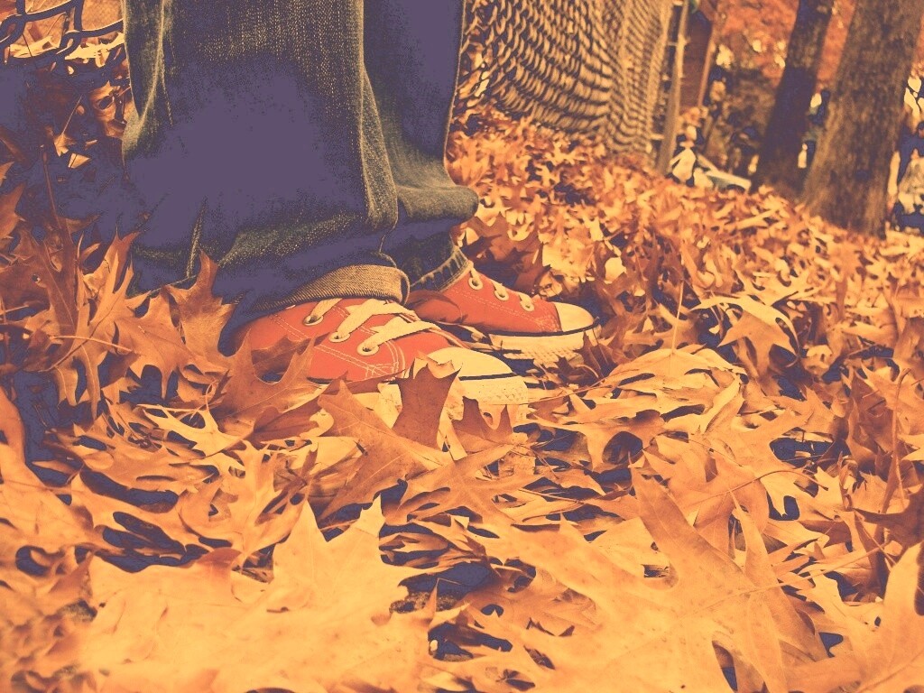 Оранжевые кеды обои