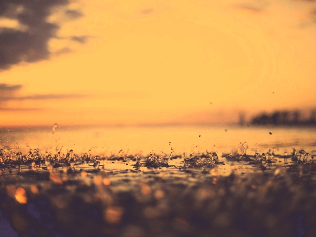 Дождь в макро обои