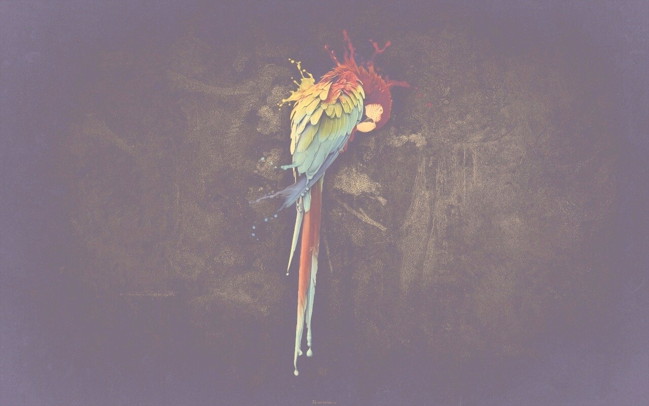 Попугай обои