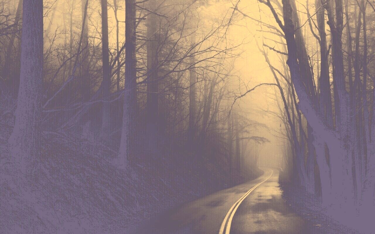 В туман обои