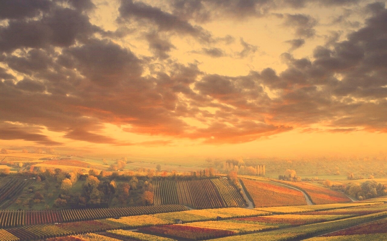 Обработанные земли в пригороде обои